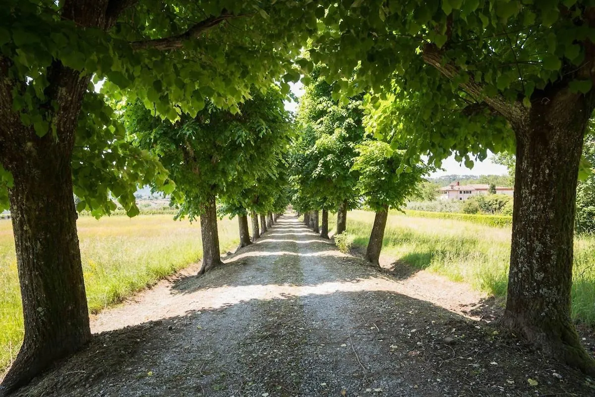 Historic Villa Franchini Lucca