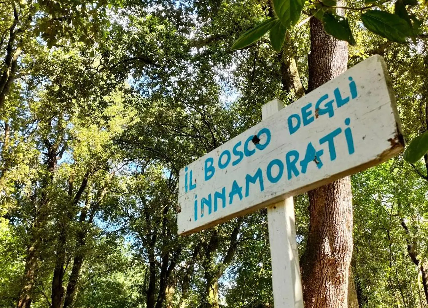 Historic Villa Franchini Lucca Italien